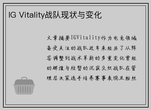 IG Vitality战队现状与变化